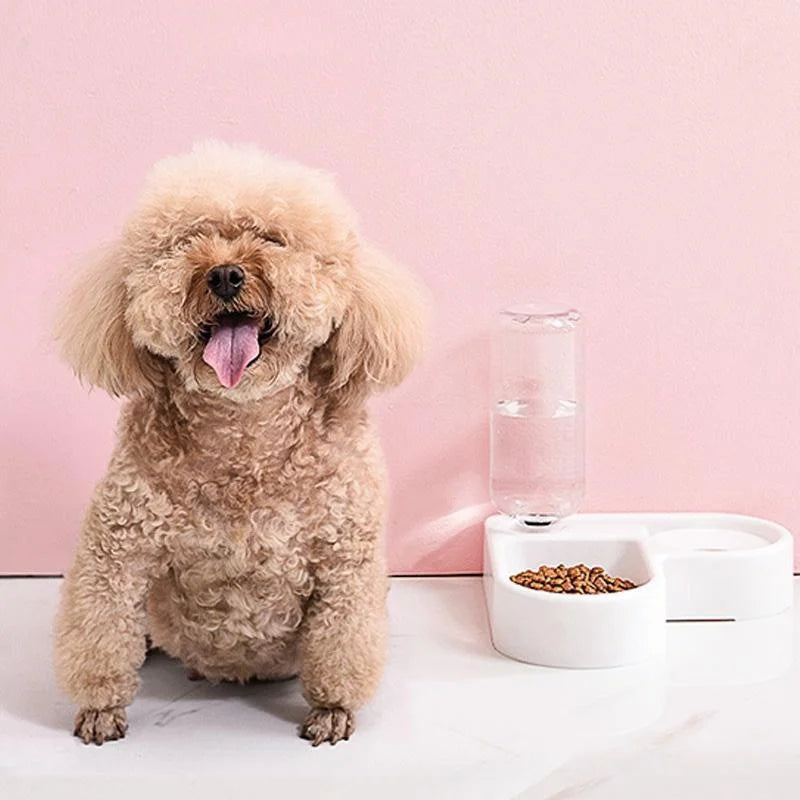 Automatic Pet Feeder & Water Bowl 500ml, Portable Slow Eating Food Dish for Cats & Dogs, Pet Products for Living Room & Bedroom